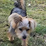 公寓 Mit Brockenblick *