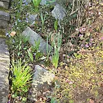 公寓 Mit Brockenblick 韦尼格罗德