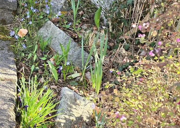 Apartment Mit Brockenblick Wernigerode